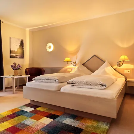 Hotel Reiners Grafenau (Bavaria)