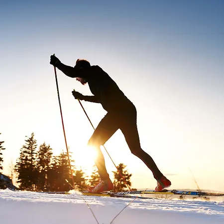 Reiners 4* Grafenau (Bavaria)