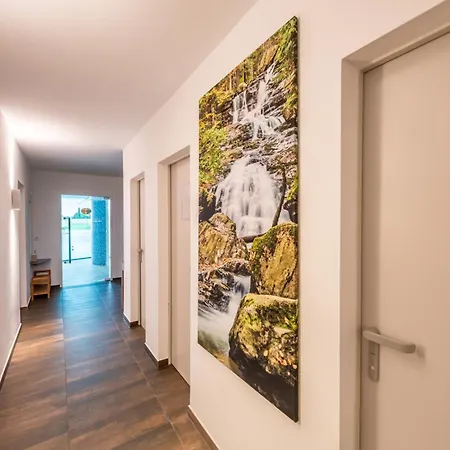 Reiners 4* Grafenau (Bavaria)